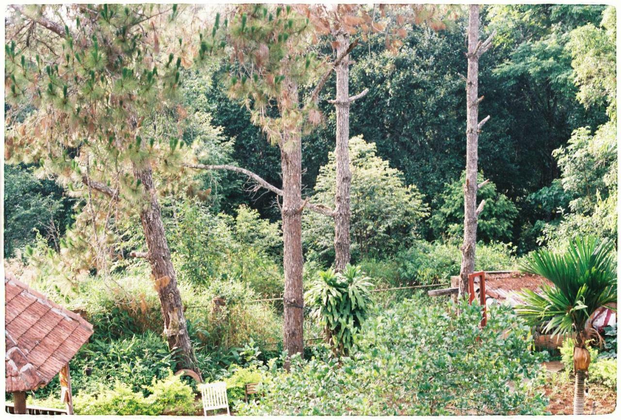 Sum Villa Homestay Mang Den Kon Von Kla Exterior photo